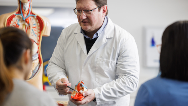 Academic tutor wearing a white medical coat. The tutor is holding a model of a human heart to show anatomy inside.